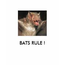 bat, BATS RULE ! t-shirts