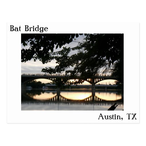 Bat Bridge in Austin, Texas Postcard Zazzle
