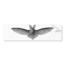 Bat Bumper Sticker bumper stickers