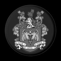 Bat Crest Grey - Magnet magnets