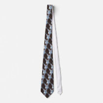 Bat Eared Fox ties by laureenr Bat Eared Fox ties