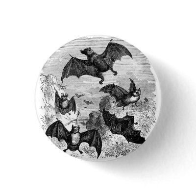 Bat Sketch Pins by HalloweenGiftFun