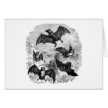Bat Sketch Greeting Card