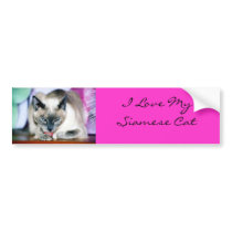 Bath 4 Harmony/I Love My Siamese Bumper Sticker bumper stickers