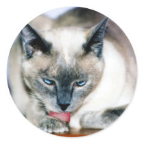 Bath 4 Harmony Sticker