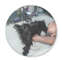Bath Time magnets by teacal Bath Time magnets