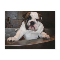 Bath time Post card postcards by DocWyatt Bath time Post card postcards