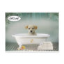 Bath time puppy postcards