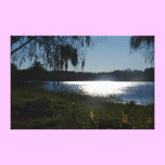 Bathed in light canvas prints