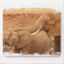 Bathing Baby Elephant Mouse Pad