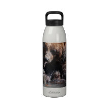 Bathing Bear Reusable Water Bottles