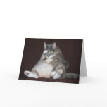 Bathing Beauty Greeting Cards