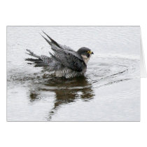 Bathing Beauty Note or Greeting Cards cards