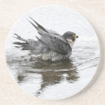 Bathing Beauty Sandstone Drink Coasters