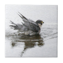 Bathing Beauty small Ceramic Tile
