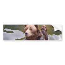 Bathing Brown Bear  Bumper Sticker