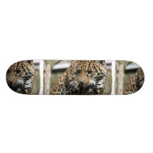 Bathing Leopard  Skateboard