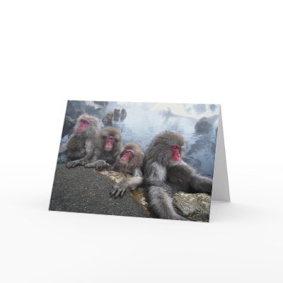 Bathing Monkey Family Card by modoti
