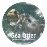 Bathing SEA OTTER Art Series I Sticker