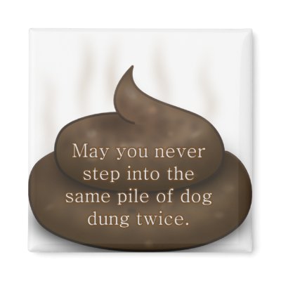 Bathroom Blessing: Don't Step in Poop Twice Fridge Magnets by egogenius