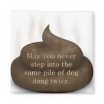 Bathroom Blessing: Don't Step in Poop Twice magnets