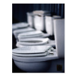 Bathroom Break!! Postcard