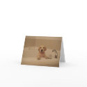 Bathtime Fun! (Blank) cards by KRaser1 Bathtime Fun! (Blank) cards