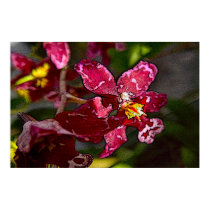 Batik Orchid posters by Calicoast Batik Orchid posters