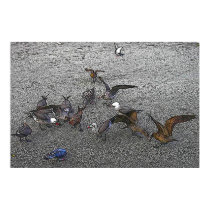 Batik Seagulls posters by Calicoast Batik Seagulls posters