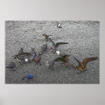 Batik Seagulls posters