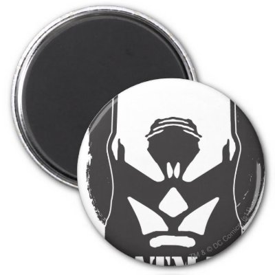 Batman Image 21 magnets