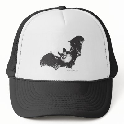 Batman Image 22 hats