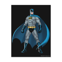 Batman Kicks Post Cards