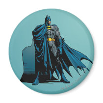 Batman Knight FX - 12B Refrigerator Magnets