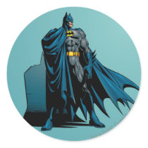 Batman Knight FX - 12B Stickers