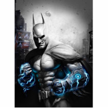 batman, arkham city, armored edition, Photo Sculpture with custom graphic design