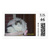 batman looks like a Kitten postage