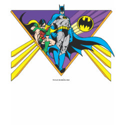 Batman & Robin 2 shirt