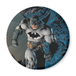 Batman Stride magnets