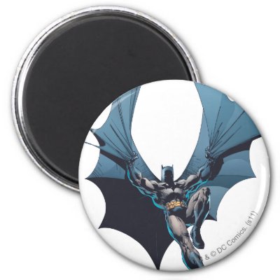 Batman - Tangled Rope magnets