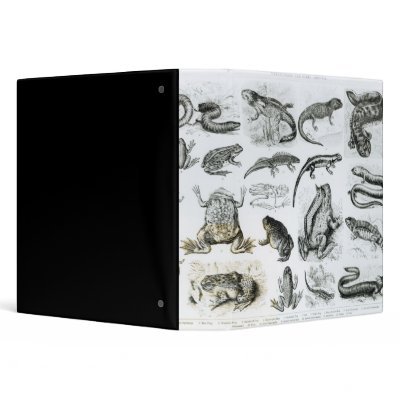 Batrachians and other Amphibia 3 Ring Binders by bridgemanart