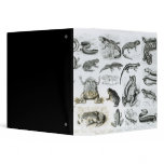 Batrachians and other Amphibia 3 Ring Binders