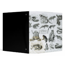 Batrachians and other Amphibia 3 Ring Binders