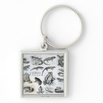 Batrachians and other Amphibia Key Chains