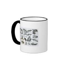 Batrachians and other Amphibia Mugs