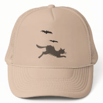 Bats and Cat hats