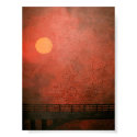 Bats at Sunset posters
