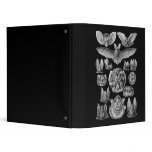 Bats Binders