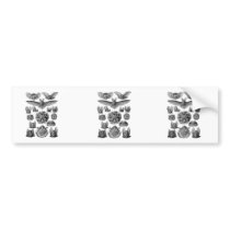 Bats Bumper Stickers