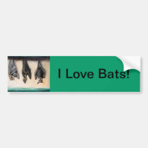 Bats Bumper Sticker